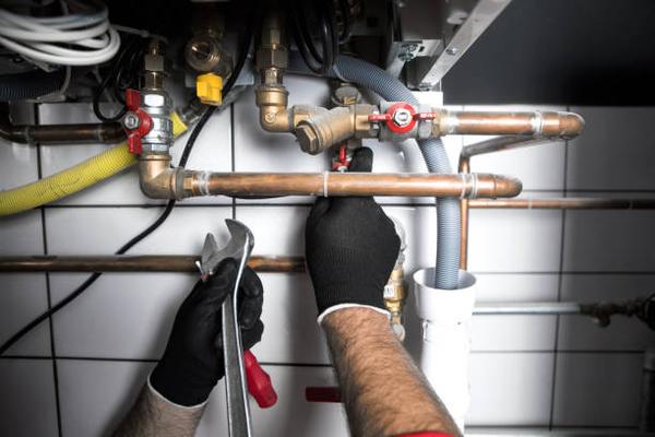 How a Professional Plumber Can Prevent Costly Water Damage