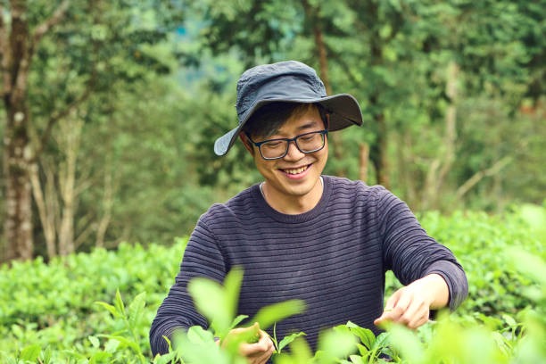 Aromas of Health Reclaiming Vitality with Herbal Garden Wisdom
